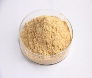 Екстракт фруктів органічного монаха V25%